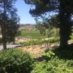 temecula vineyard